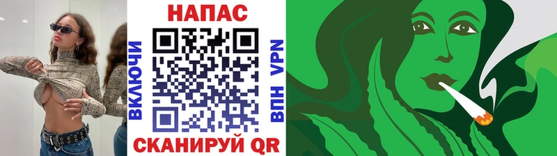 Марихуана Bruce Banner  Купить  Губкин 